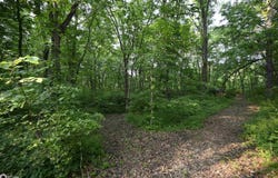 16280 213Th Avenue, Centerville, IA 52544