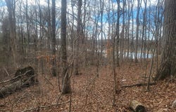 LAKESHORE CIR, BUMPUS MILLS, TN 37028