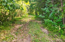0 Alberta St., Oneida, TN 37847