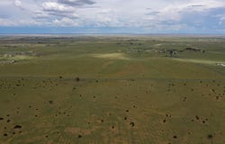 Lexico/McNabb,S:29T:9N:R:8:SW4, Moriarty, NM 87035