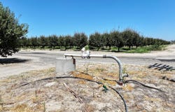 S Bryan, Fresno, CA 93706