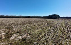 E Main Street, Carthage, MS 39051