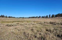 Tbd Divide Road, Whitewater, CO 81527