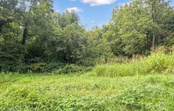 445 Newton Avenue, Statesville, NC 28677