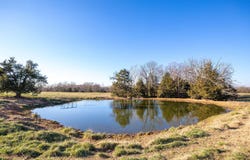 Oak Grove, AR 72660