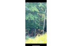 TBD Wetzel / Tyler Ridge, New Martinsville, WV 26155