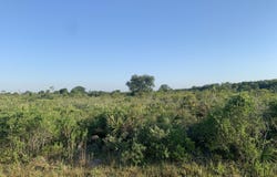19142 NW 264th Street, Okeechobee, FL 34972