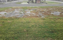 101 Lillian Ln, Chauvin, LA 70344