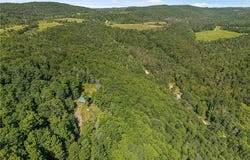 4902 Mcmaster Road, Cameron, NY 14819