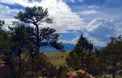 361 Taos Trail, Westcliffe, CO 81252