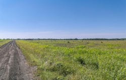 Tbd 0 Cr-4911, Ladonia, TX 75449