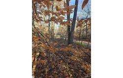 Lucerne Drive lot: #263, Reed City, MI 49677