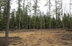 Evergreen Drive lot: 71-75, Grayling, MI 49738