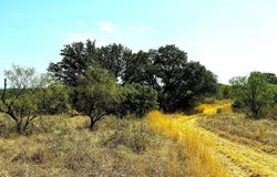 N County Rd 404, Llano, TX 78643