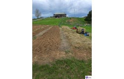 590 Eve Road, Summersville, KY 42782