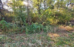 Lot 5 Perth Dr & Lot 7 Worth Pl, Bella Vista, AR 72715