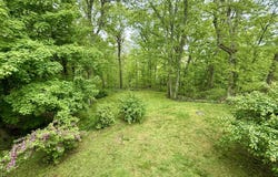 24 Centerview Drive, Shelton, CT 06484