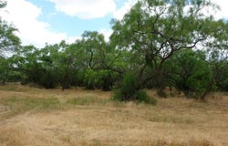 1688 Highway 573, Comanche, TX 76442