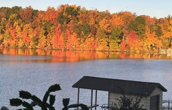 14600 W Diane Drive, Camden, MI 49232
