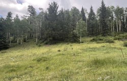 Copper Creek Estates, NM 87558