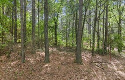414 Jim Grizzle, Royston, GA 30662