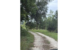 State, Holly Hill, SC 29059