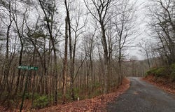 Lot 41 Whisper Woods, Hiawassee, GA 30546
