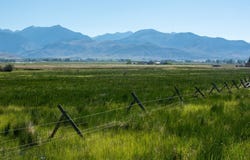 Carey Lane, Sheridan, MT 59749