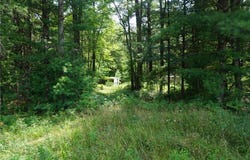N9390 County Road E, Merrillan, WI 54754