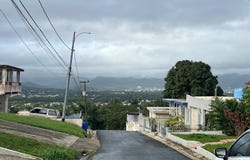 PR-931 Torregrosa, Gurabo, 00778