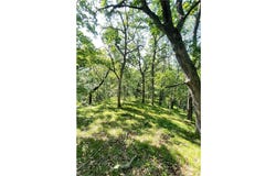Xxx Brown Lane, Pepin, WI 54759