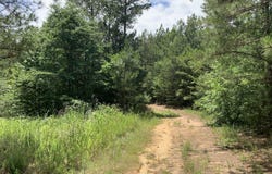 Na Metasville Road, Lincolnton, GA 30817