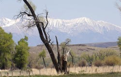 15004 County Road 20, Sanford, CO 81151