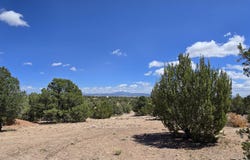 2795 W Poppy Road, Ash Fork, AZ 86320
