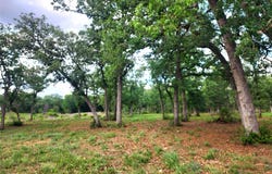 2123 Woodcreek Dr DR, Waelder, TX 78959