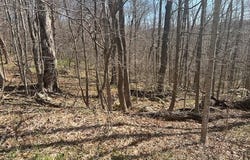 Maple Grove Road, Moscow, PA 18444