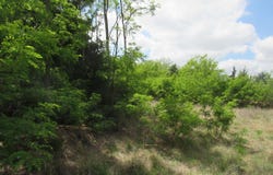 E Red Tail Rd, Hutchinson, KS 67502