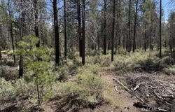 Munson Drive, Chiloquin, OR 97624