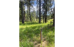 30 E ADAMS VIEW DR, Glenwood, WA 98619