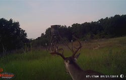 1343 County Rd188, Cross Plains, TX 76443