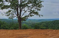 2556 Oakland Road, Clinton, AR 72031