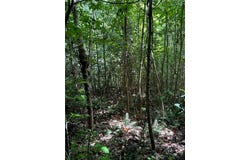 5.7ac Dutton Road, Gloucester, VA 23061