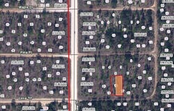 00 LIME STREET, INTERLACHEN, FL 32148
