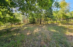 Lot 4 Rustic Ridge, Moorefield, WV 26836