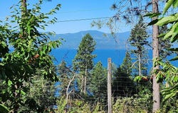 Nhn Sylvan Drive, Bigfork, MT 59911