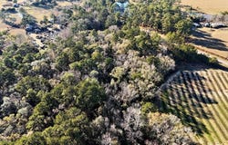 Tired Creek Rd., Whigham, GA 39897