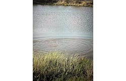19774 FM 47, Wills Point, TX 75169