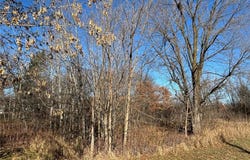 201 High Drive, Sartell, MN 56377