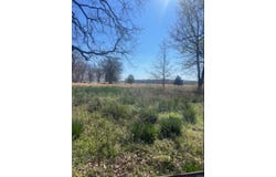 Holland Road, Hickory Plains, AR 72176