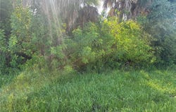 7106 KALER STREET, PORT CHARLOTTE, FL 33981